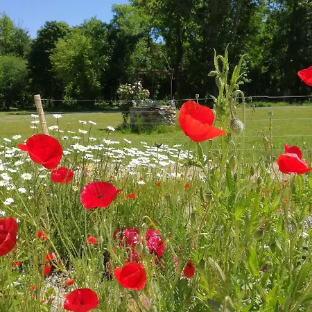 Chateau De Courmelois Champagne 3*