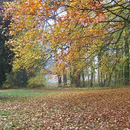 Gasthof Chateau De Courmelois Champagne