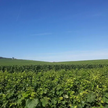 Chateau De Courmelois Champagne Gasthof