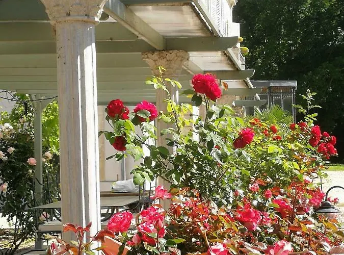 Chateau De Courmelois Champagne Gæstehus Val de Vesle