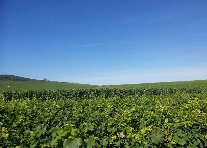 Chateau De Courmelois Champagne Gæstehus